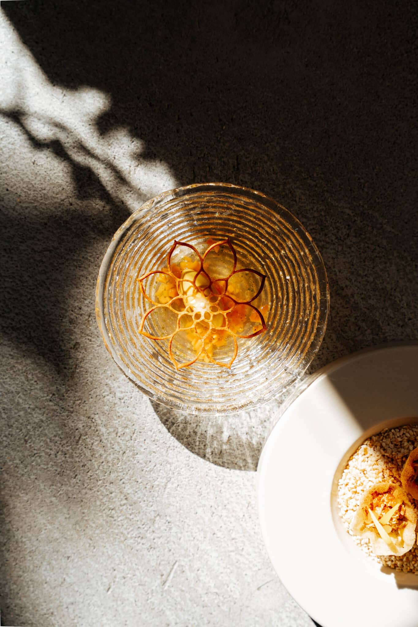 DOP_aug24©HABLAR-53