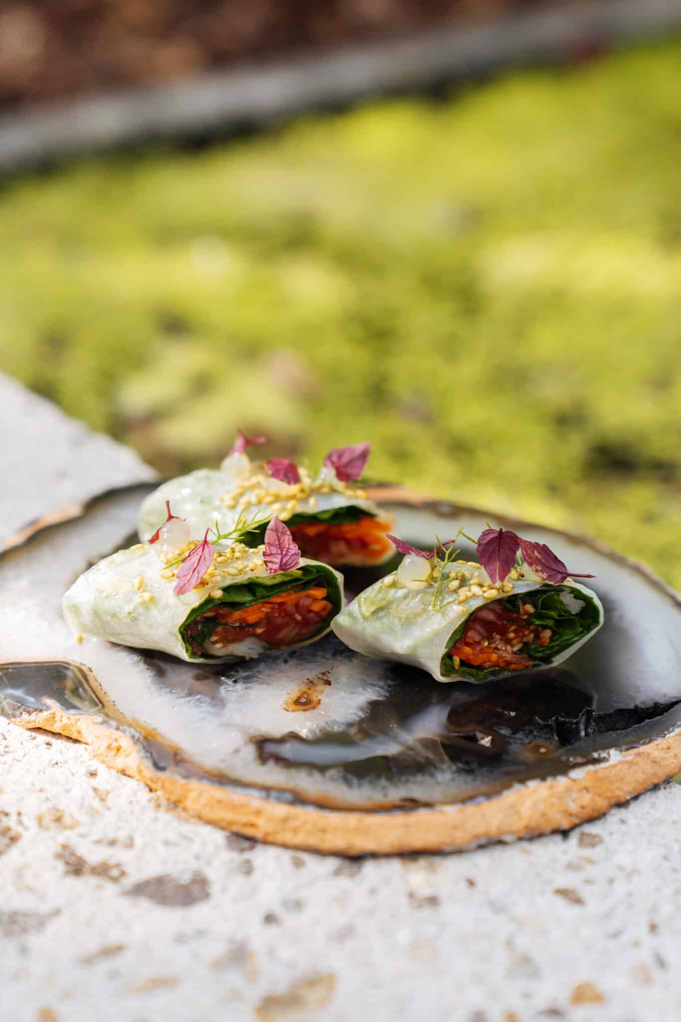 DOP_aug25©HABLAR-11