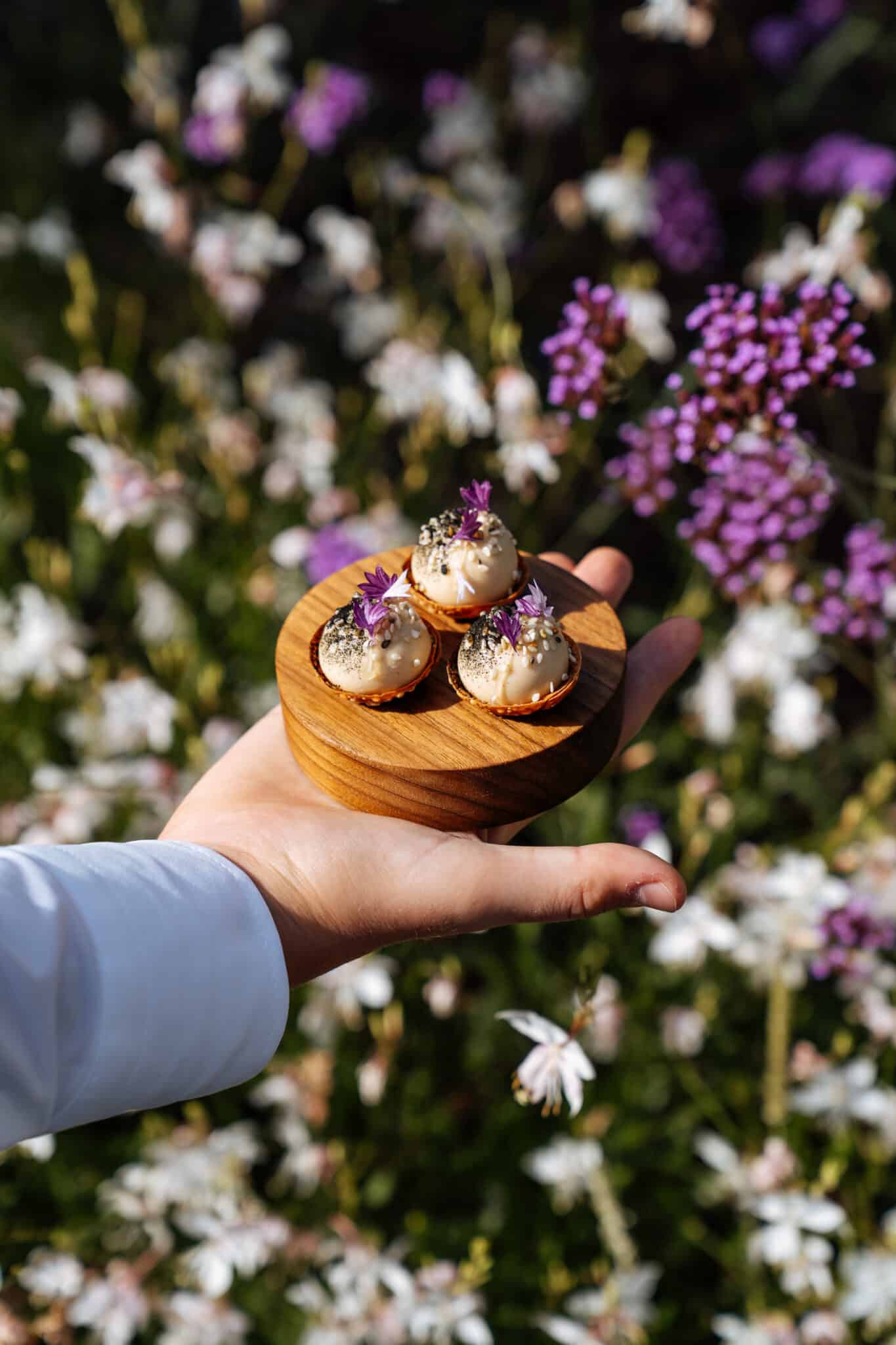 DOP_aug25©HABLAR-26