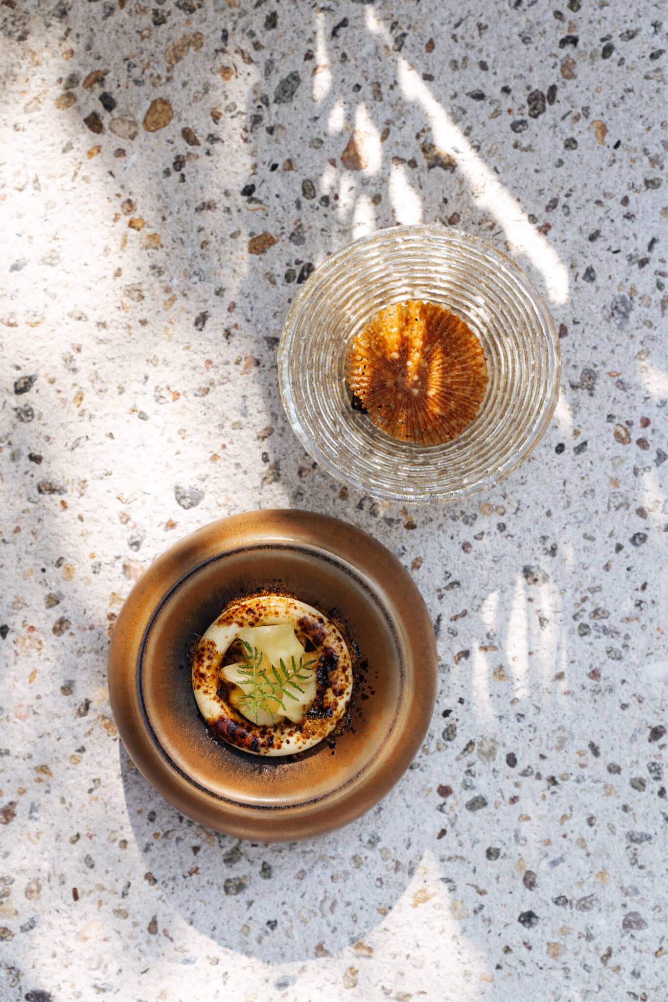 DOP_aug25©HABLAR-30